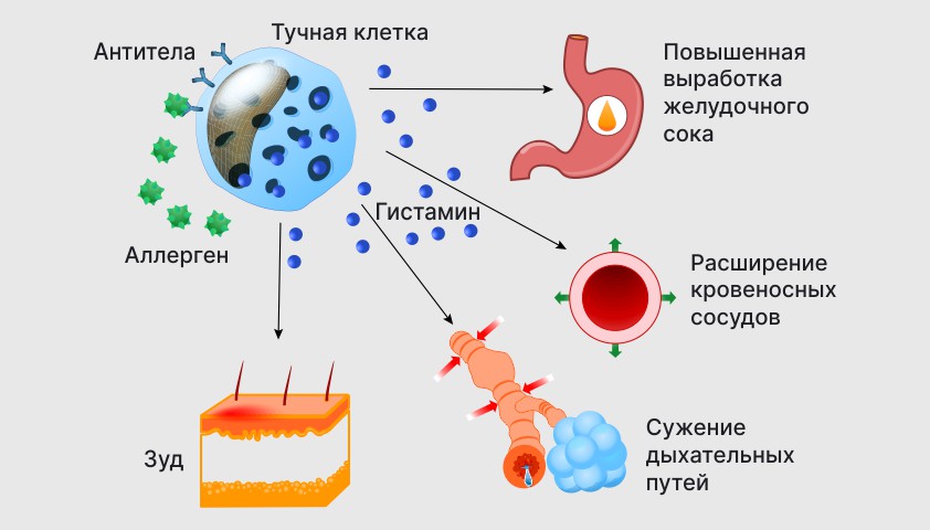 Аллерген