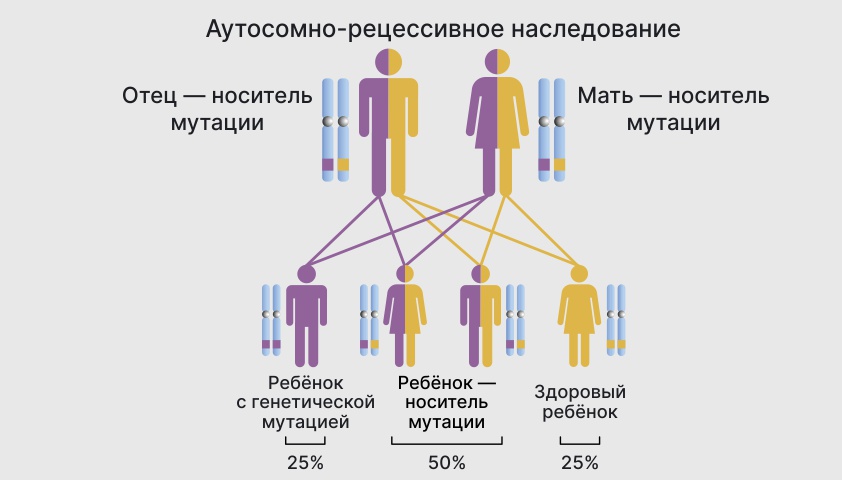 Моногенные заболевания - что это, виды