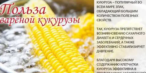 Консервы из кукурузы