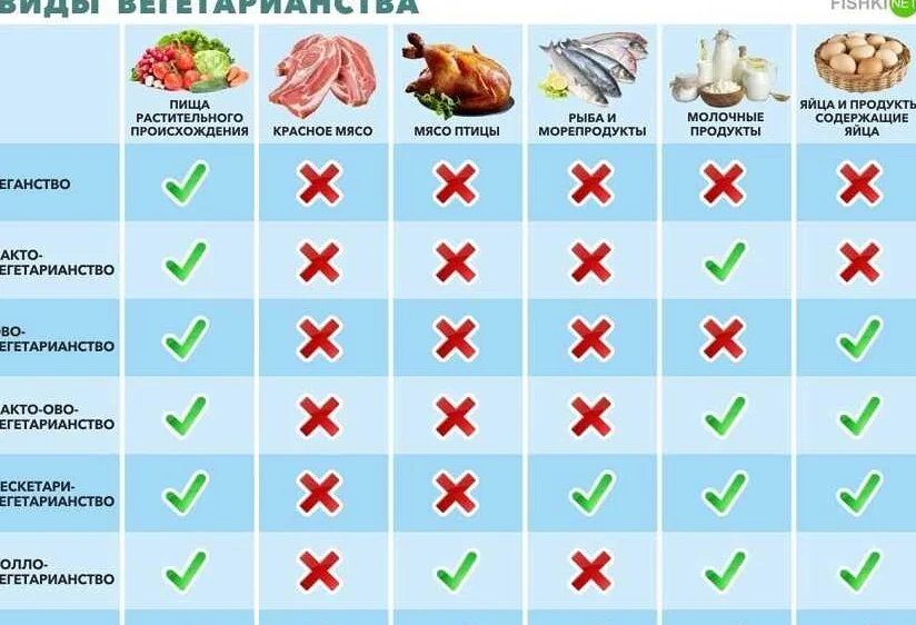 Какие заменители мяса можно использовать в блюдах