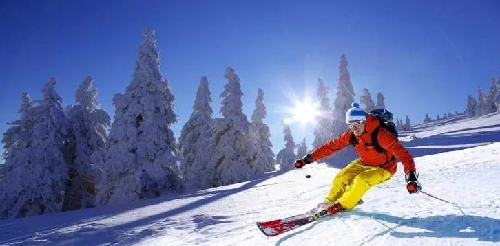 Выберите лыжи, соответствующие вашим целям и уровню подготовки