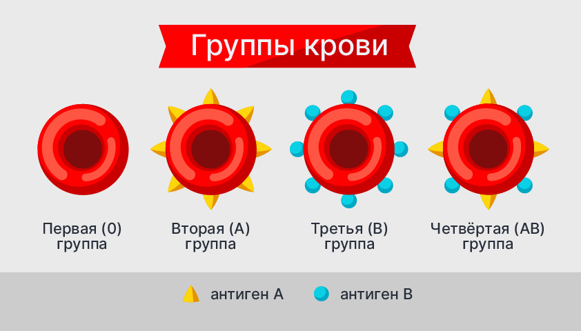 Группы