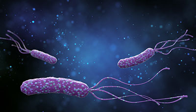 Helicobacter-pylori