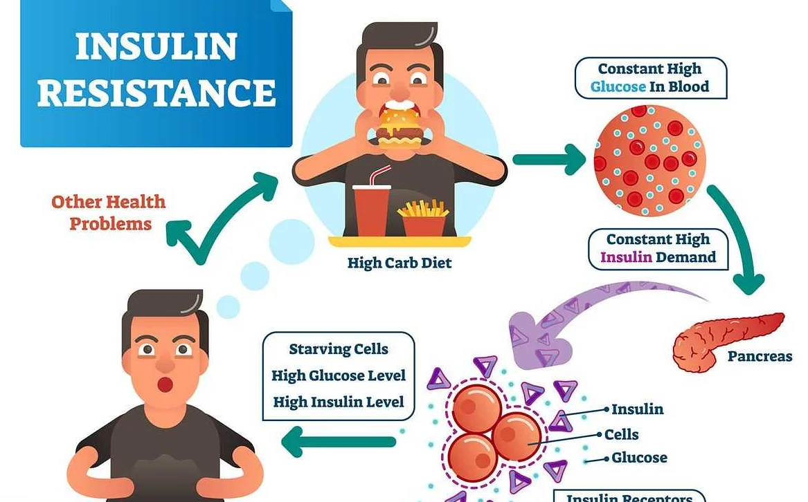 Резистентность к инсулину. Повышение инсулина в крови симптомы. Инсулин и микробиом. Клетка не чувствительна к инсулину. Резистентность у детей