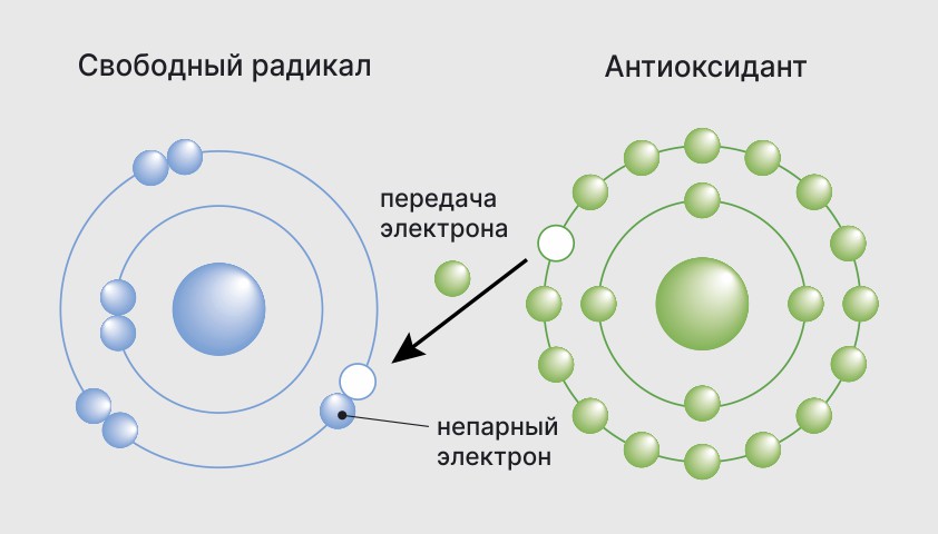 Свободные радикалы - как они влияют на организм?.