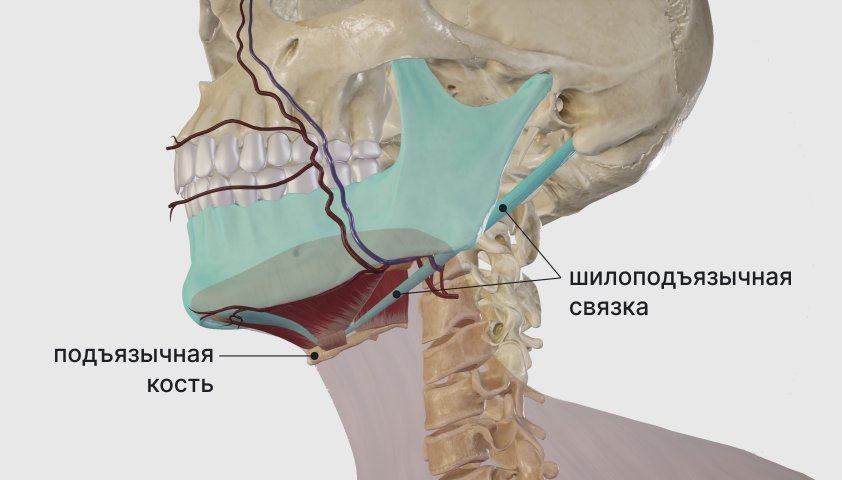 Комплекс