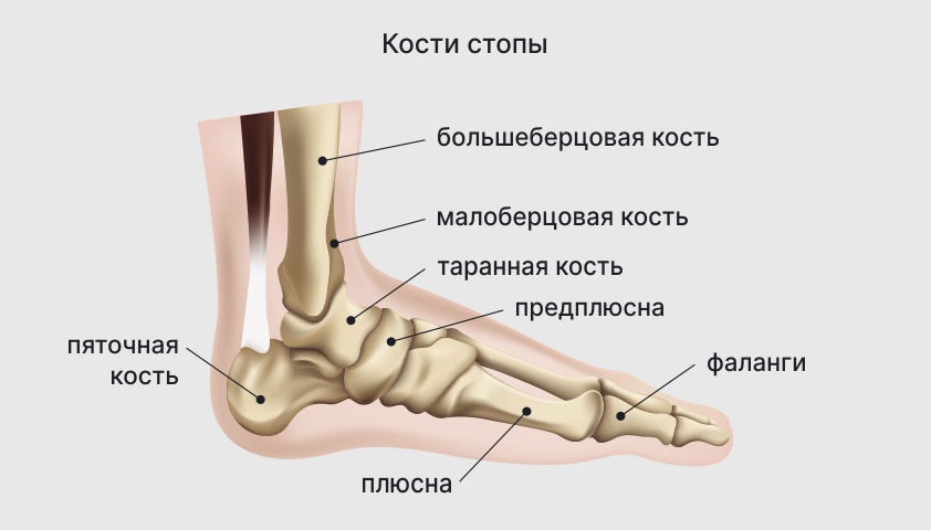 Картина Кости-стопы