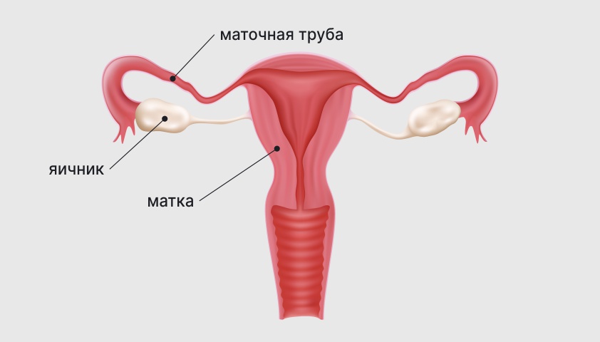 Бесплодие у женщин — что такое, симптомы, причины, лечение