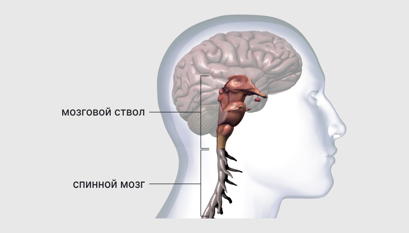 Гипогонадизм у женщин — что это, симптомы, диагностика, лечение