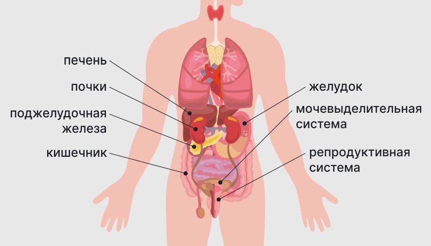 Органы-БП