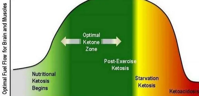 Как повысить уровень кетонов в моче на кето диете?
