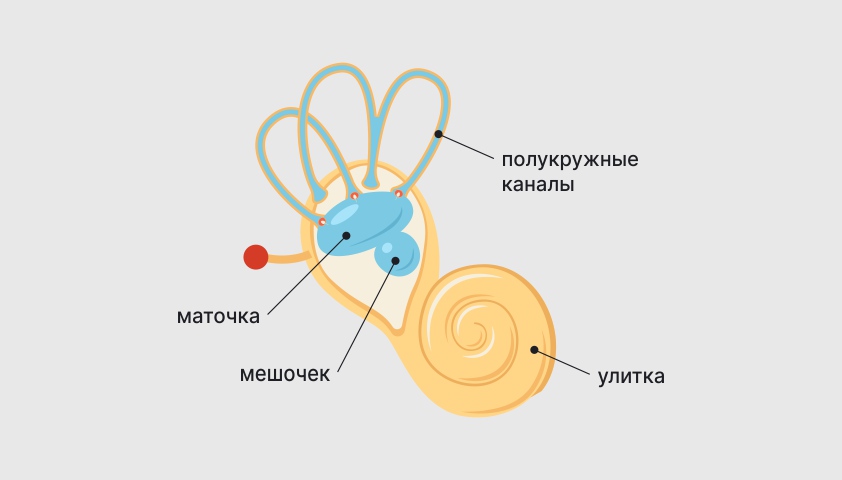 Головокружение - причины, симптомы и лечение